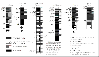 ris3sm.gif (3304 bytes)