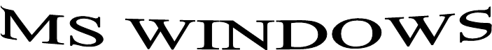 MS WINDOWS