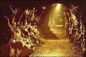 Aillwee_cave