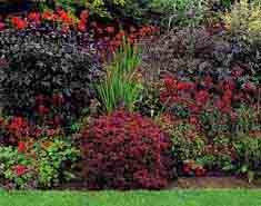 Howth_Castle_Gardens