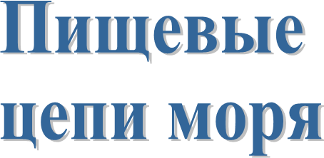 Пищевые цепи моря
