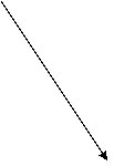           &quot;&quot;