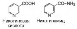 http://www.ximia.org/biologhim/bio/img530.jpg