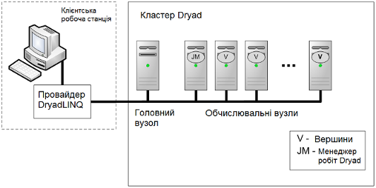   (7).png