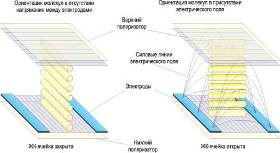 . 3.  IPS-