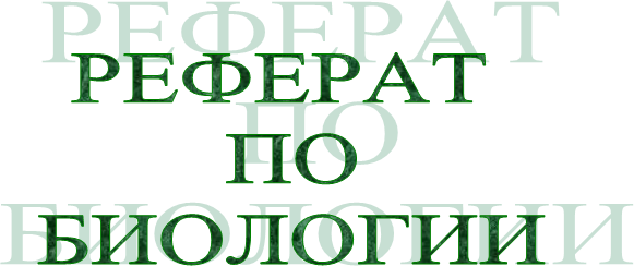  &#13;&#10;&#13;&#10;
